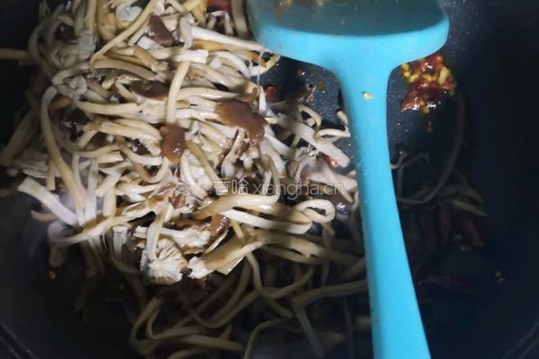 香辣茶树菇的做法图解7