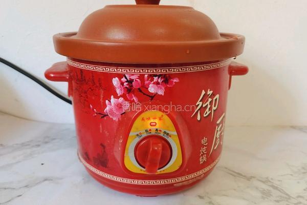 木瓜炖牛奶的做法图解9