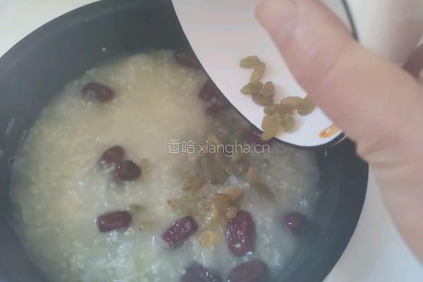 红枣银耳小米粥的做法图解6