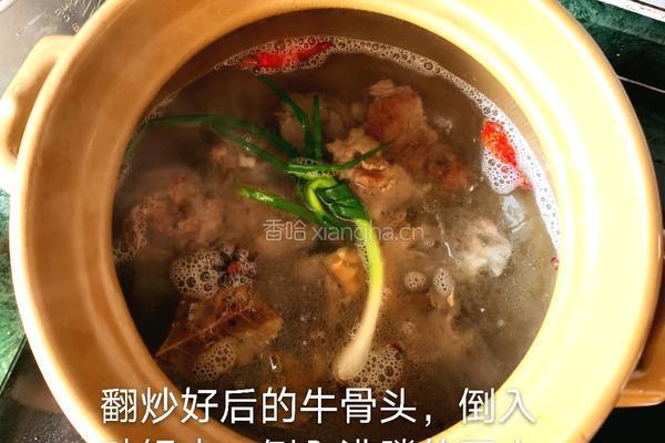 土豆牛骨头胡萝卜的做法图解5