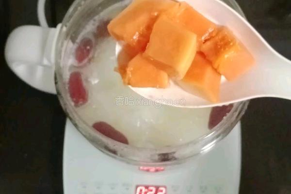 木瓜银耳甜汤的做法图解11