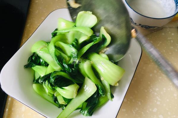 蒜香油菜的做法图解6