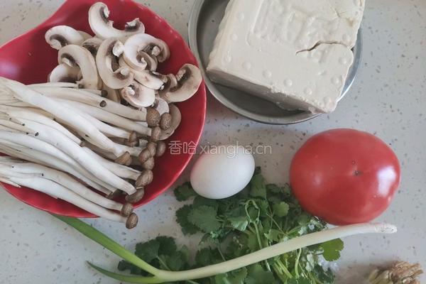 西红柿豆腐菌菇汤的做法图解1
