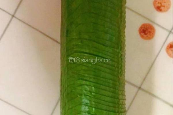 凉拌蓑衣黄瓜的做法图解4