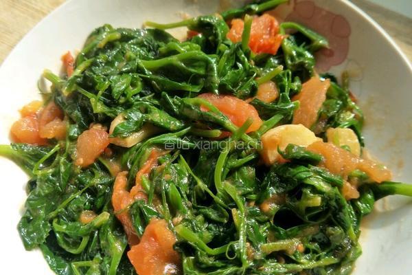 西红柿炒豌豆尖（豆苗）的做法图解8