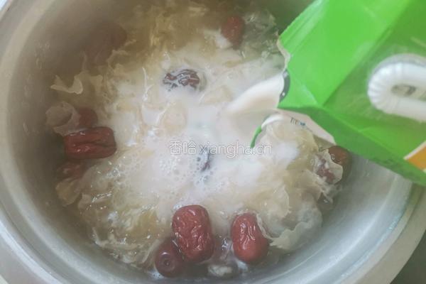 木瓜牛奶银耳羹的做法图解5