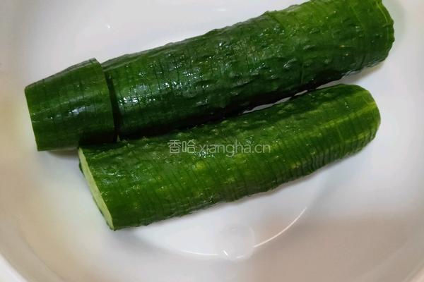 簑衣黄瓜的做法图解2