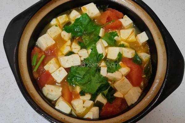番茄豆腐汤的做法图解9