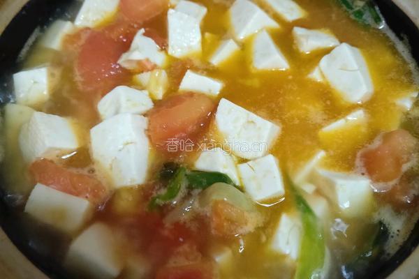 番茄豆腐汤的做法图解6