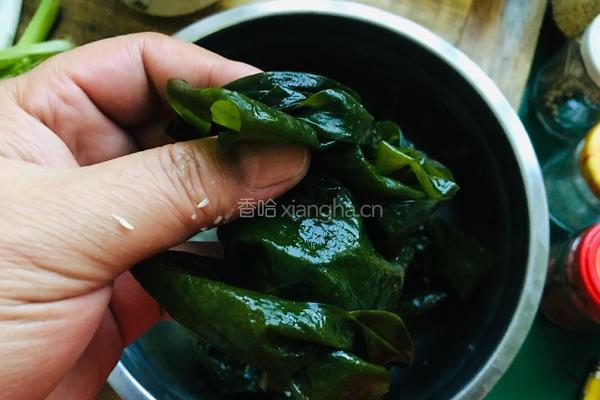 凉拌裙带菜的做法图解1