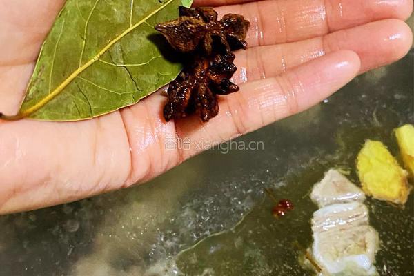 萝卜羊肉汤的做法图解5