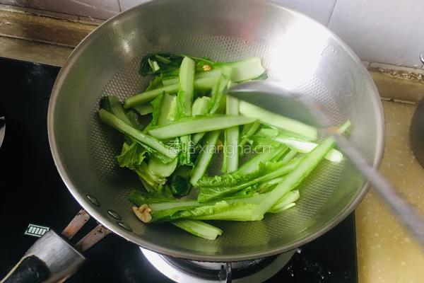 蒜蓉春菜的做法图解3