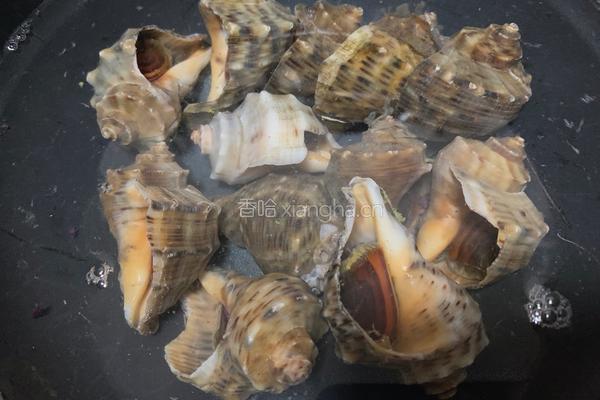 清蒸海螺的做法图解1