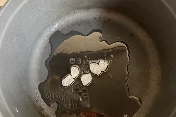 西红柿炖牛腩的做法图解2