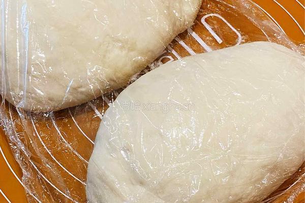 肉末豇豆包子的做法图解4