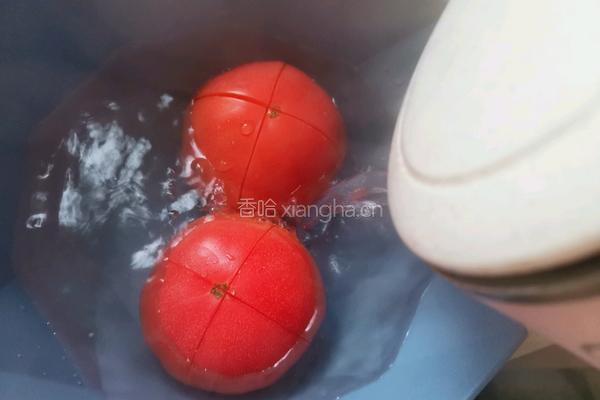 西红柿鸡蛋饺子的做法图解2