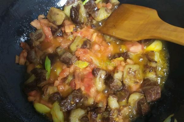 红烧驴肉的做法图解4