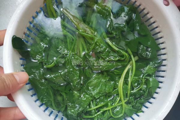 麻酱菠菜的做法图解3