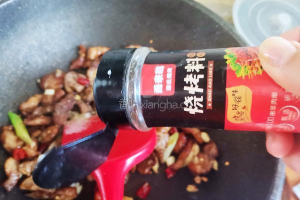 孜然肉片（家庭烤肉）的做法图解14