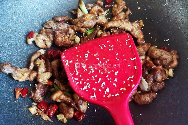 孜然肉片（家庭烤肉）的做法图解16