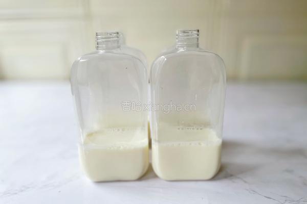 牛乳茶的做法图解7