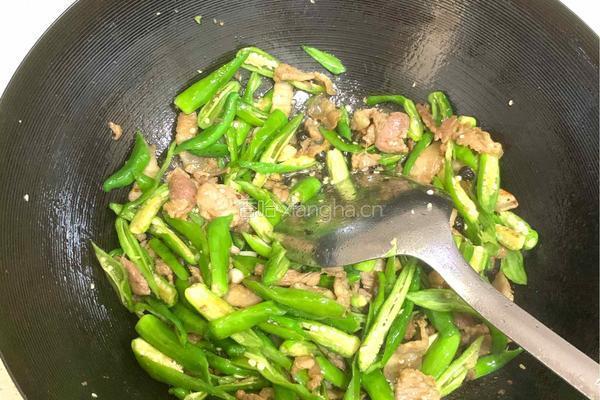 辣椒炒肉的做法图解4