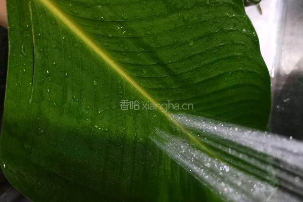 咸蛋黄猪肉粽 新手一看就会的做法图解1