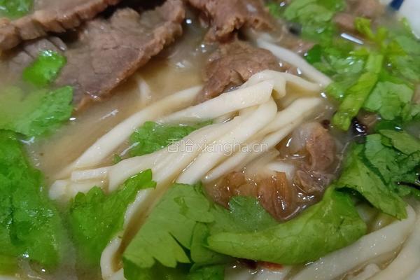 牛肉面的做法图解8