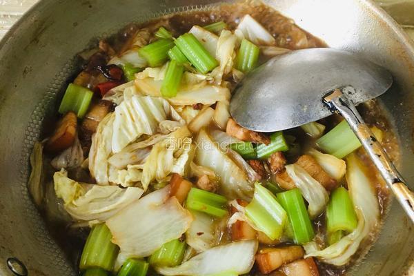 红烧肉烩菜的做法图解8
