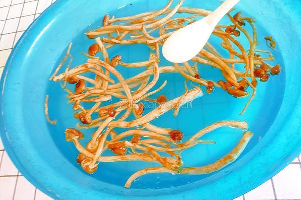 茶树菇炒四季豆的做法图解6