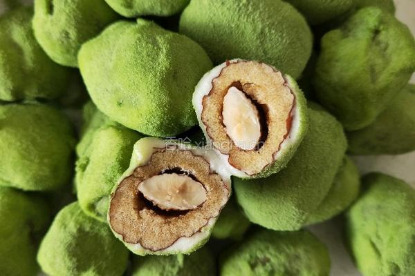 抹茶奶枣的做法图解13