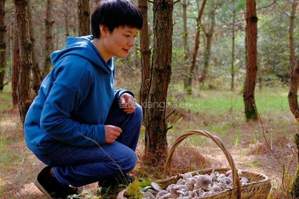 高档调味品菌油做法 拌菜拌面吃太鲜了的做法图解1