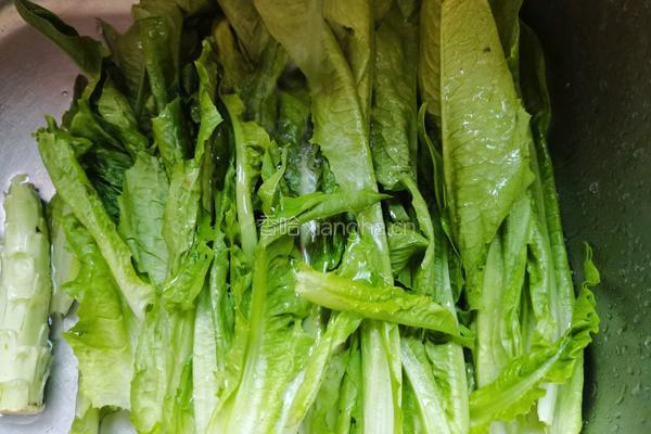 凉拌油麦菜的做法图解2