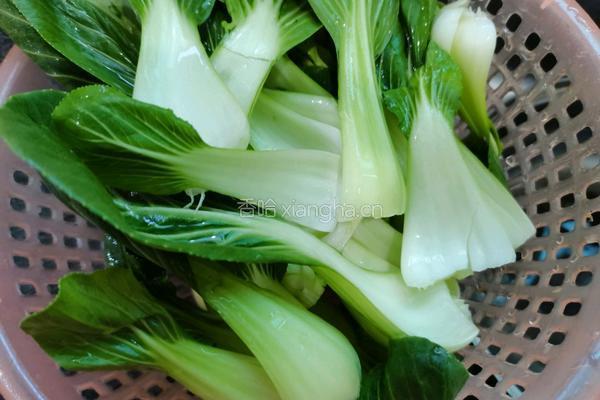 蒜香油菜的做法图解3