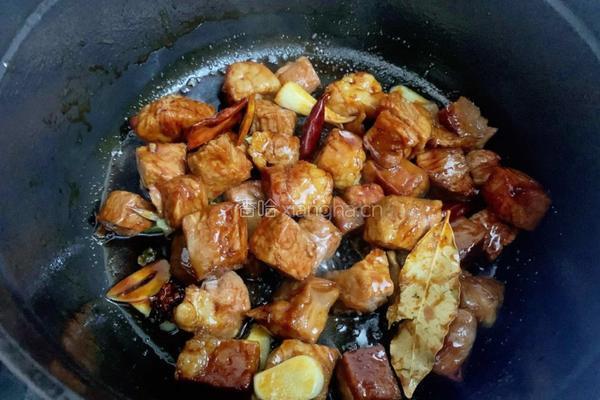番茄炖牛腩的做法图解13