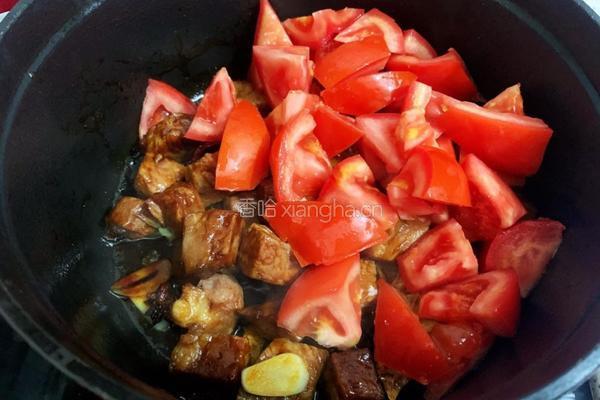 番茄炖牛腩的做法图解14