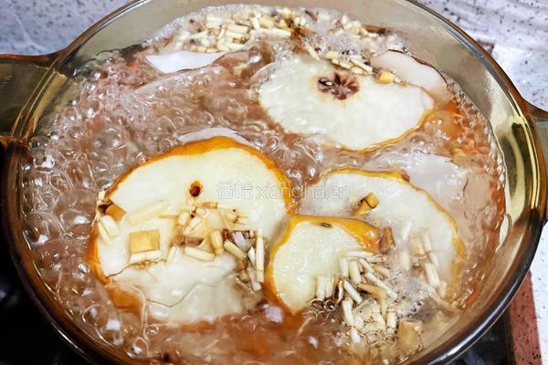 海底椰雪梨膏的做法图解4