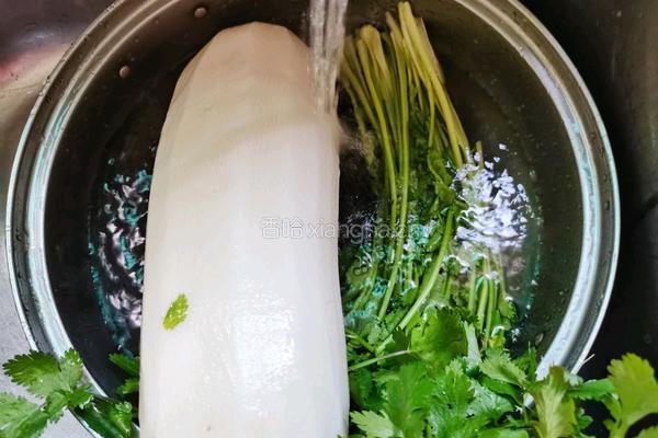 香菜萝卜丝的做法图解3