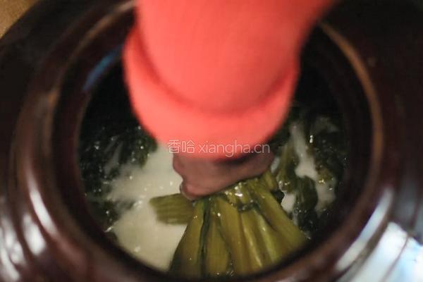 自制酸菜做酸菜鱼总共花费不到20块在家就能做的做法图解11