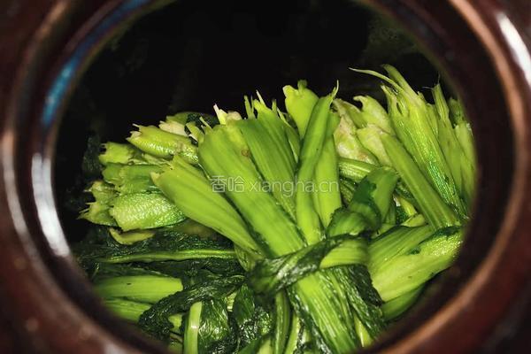 自制酸菜做酸菜鱼总共花费不到20块在家就能做的做法图解16