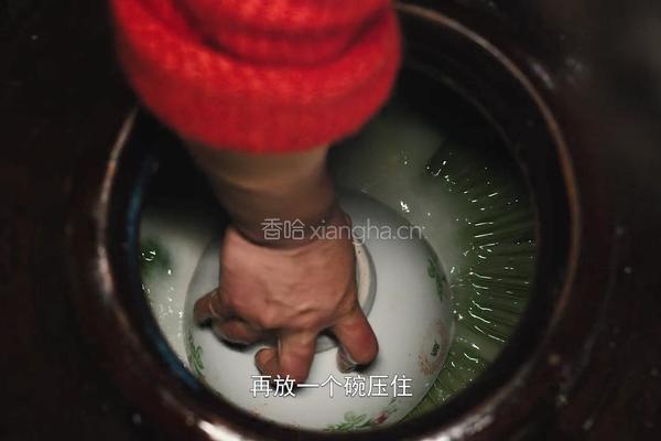 自制酸菜做酸菜鱼总共花费不到20块在家就能做的做法图解19