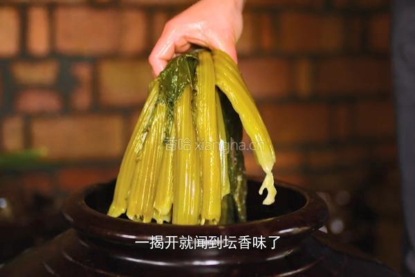 自制酸菜做酸菜鱼总共花费不到20块在家就能做的做法图解21