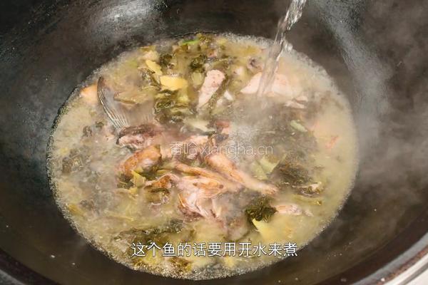 自制酸菜做酸菜鱼总共花费不到20块在家就能做的做法图解32
