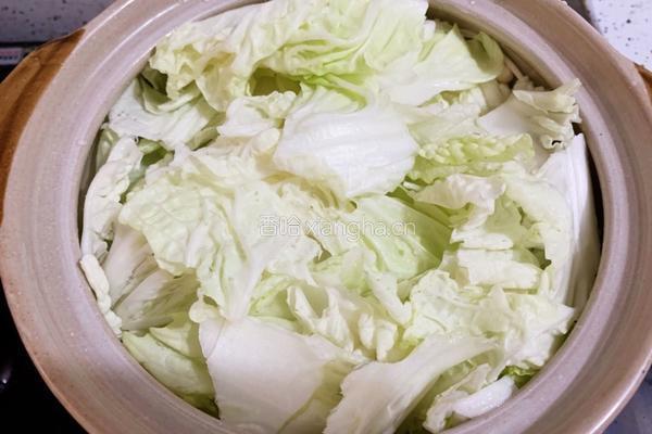 白菜豆腐煲的做法图解8