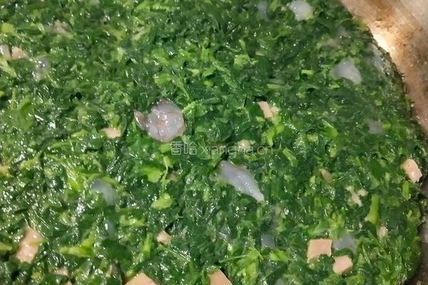 苜蓿鸡蛋饼的做法图解9