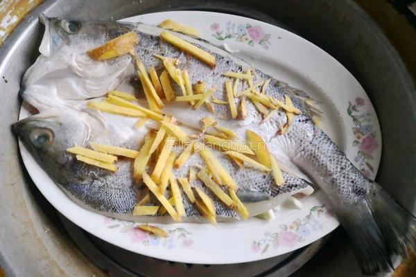 清蒸海鲈鱼的做法图解4