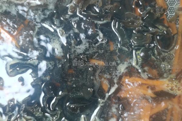 简单滴鱼香肉丝的做法图解6