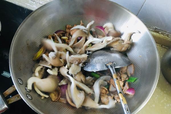 蘑菇炒肉片的做法图解6