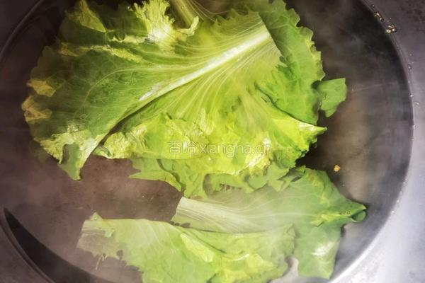 生菜鸡肉卷的做法图解3