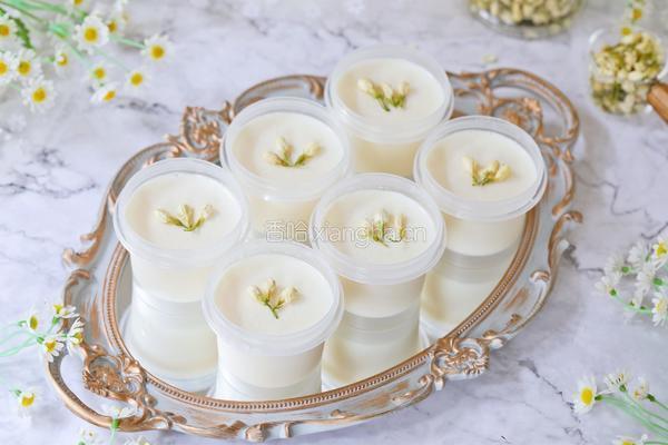茉莉花奶冻的做法图解13